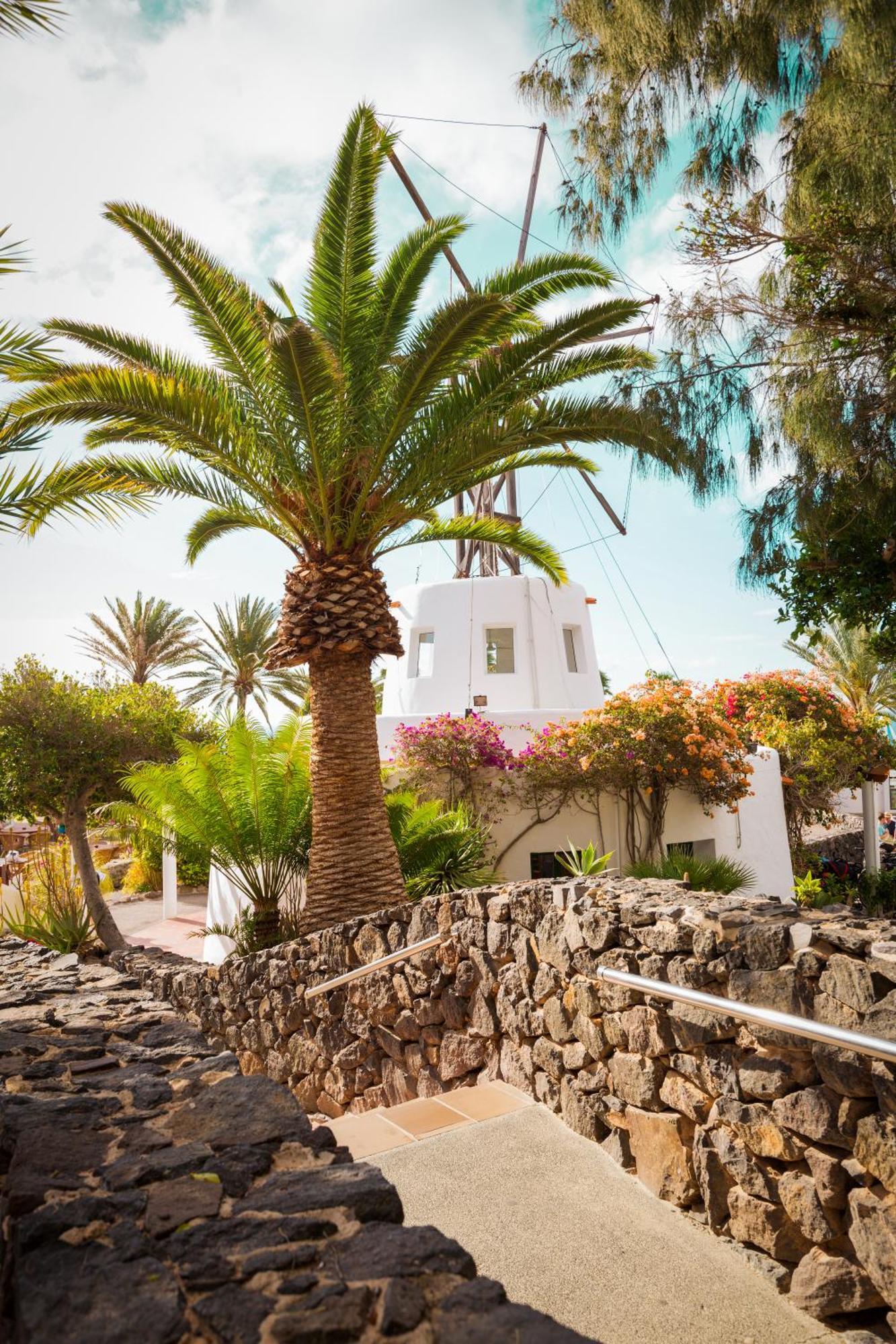 Robinson Esquinzo Playa Hotel Pajara  Exterior photo